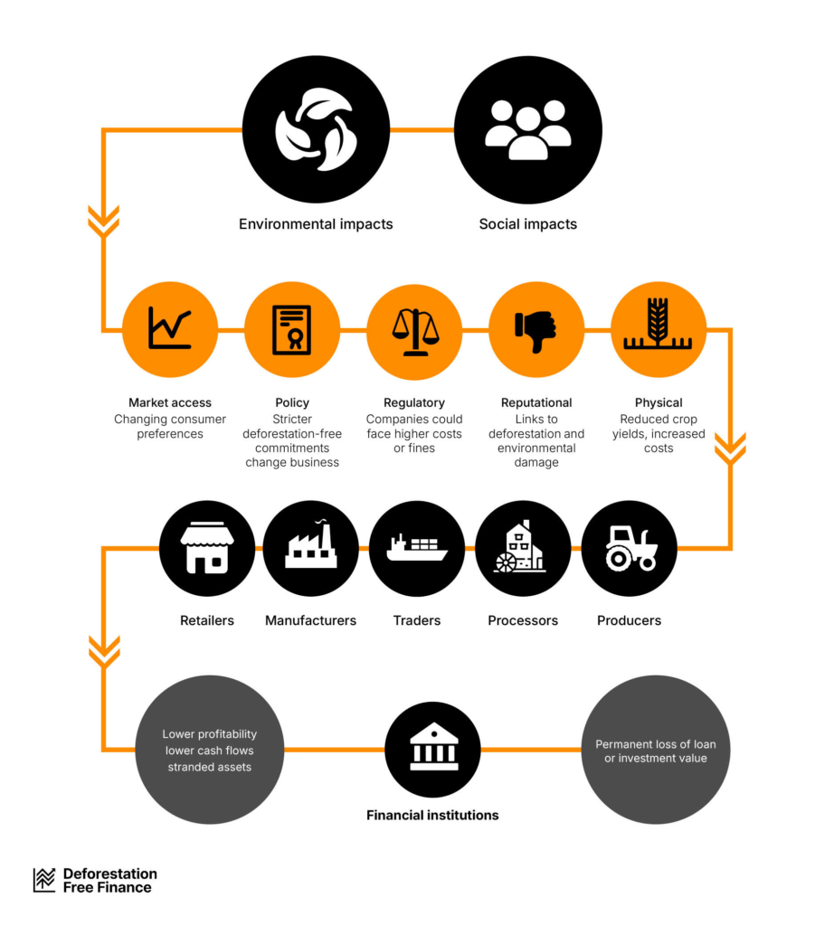 Environmental and social impacts result in risks for corporates and financial institutions. These include: market access, policy, regulatory, reputational and physical risks. These risks can result in lower profitability, lower cash flows and stranded assets, then causing permanent loss of loan or investment value