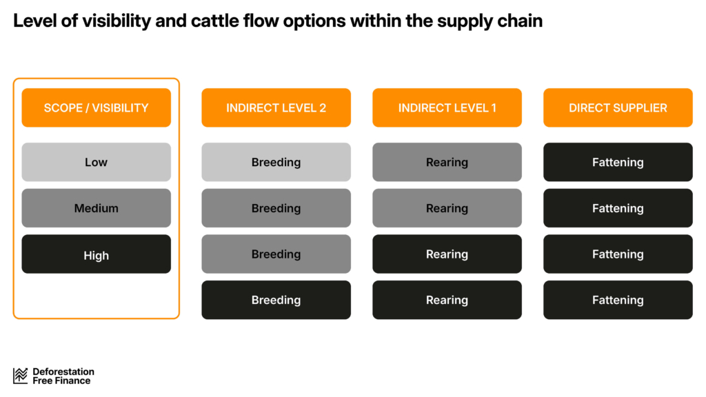 Level of visibility and cattle flow options within the supply chain. Direct suppliers have more visibility when fattening cows, versus indirect levels 1 (rearing) and 2 (breeding) where there is gradually less visibility.