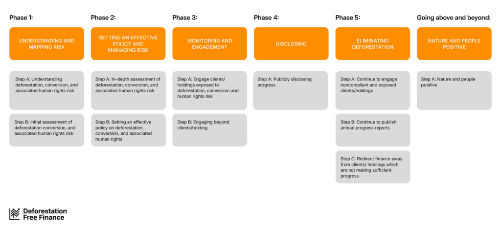 The Roadmap is made of six phases, which have between one and three steps under phase